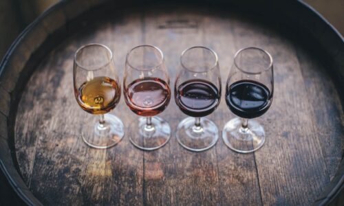 Enoturismo: tutto ciò che devi sapere sul “turismo del vino”